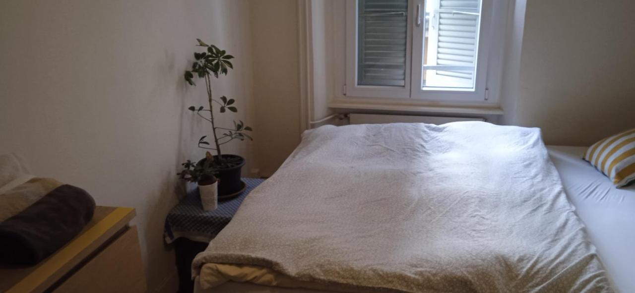 Chambre Double Last Minute Payerne Dış mekan fotoğraf